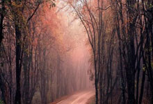 泽库“泽曲杯”千人环措日更湖徒步大赛暨春季旅游启动仪式举行